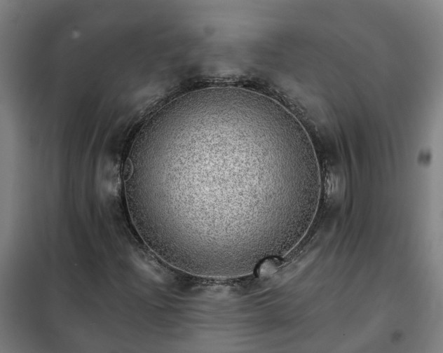 X0000102021204200807251324