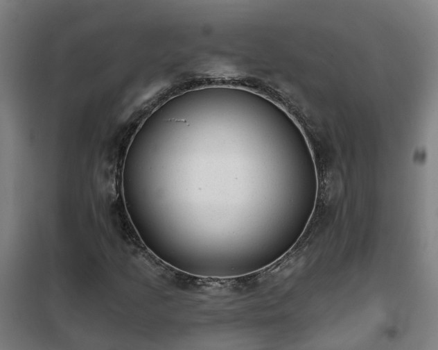 X0000102021205200807251324