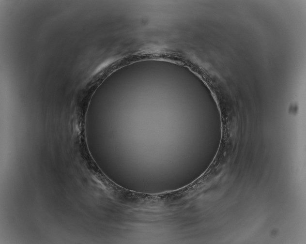 X0000102021206200807251324