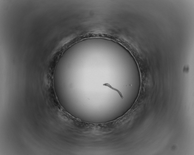 X0000102021207200807251324