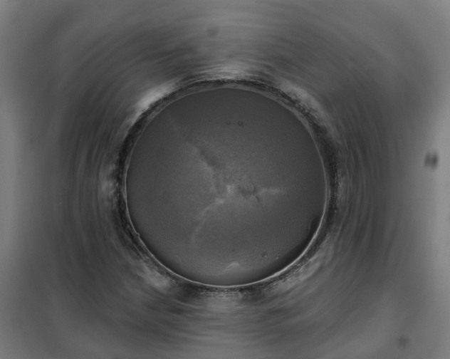 X0000102021210200807251324