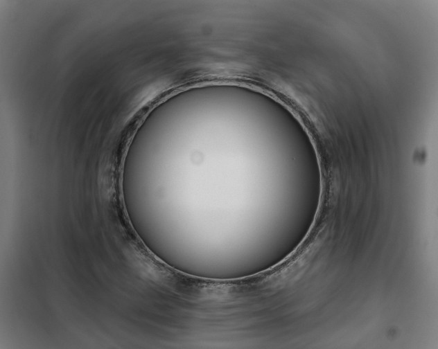 X0000102021211200807251324