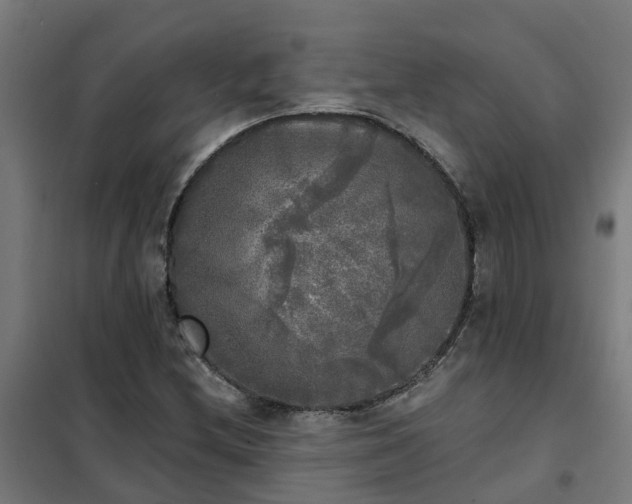X0000102021212200807251324