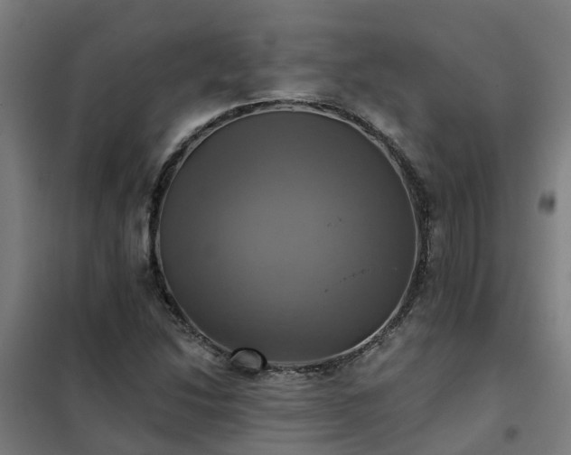 X0000102021214200807251324