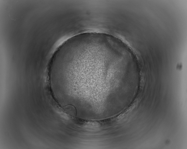X0000102021215200807251324
