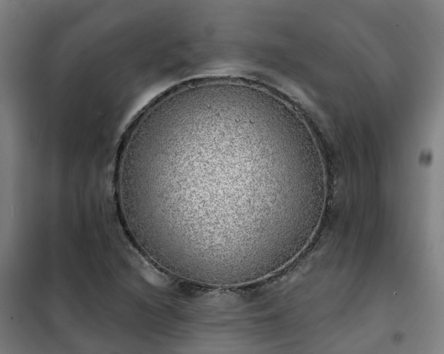 X0000102021216200807251324