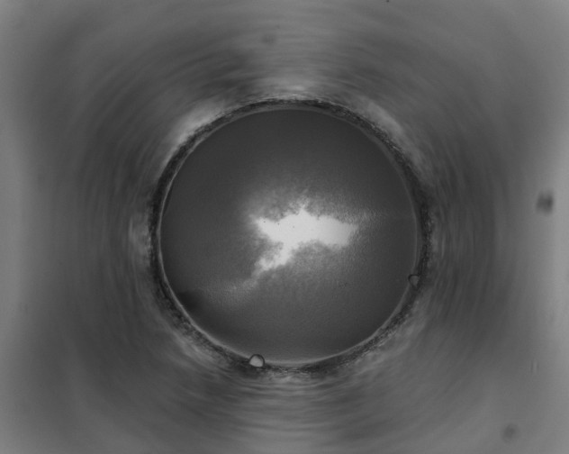 X0000102021218200807251324