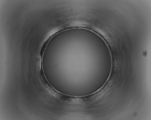 X0000102021219200807251324