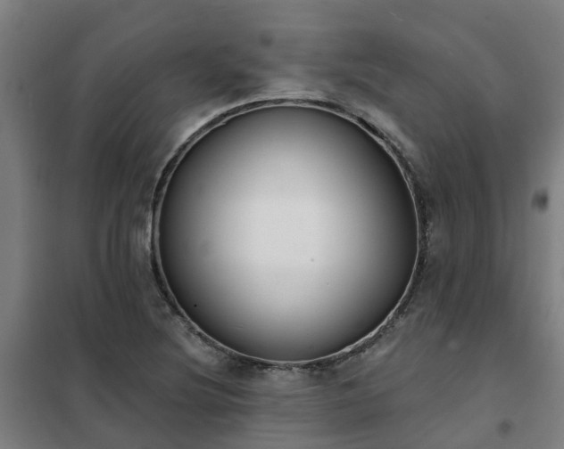 X0000102021220200807251324