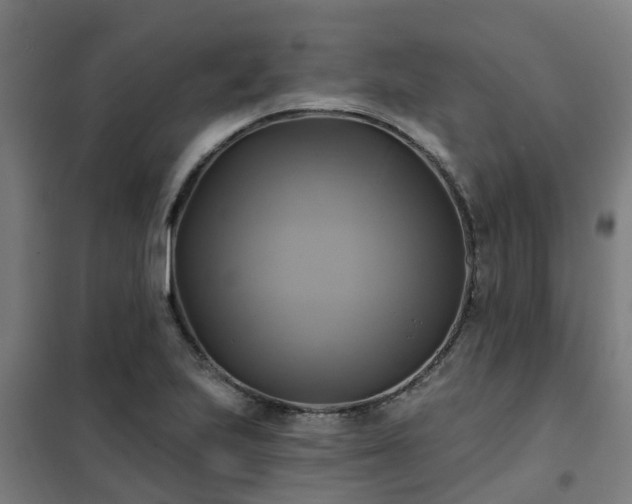 X0000102021223200807251324