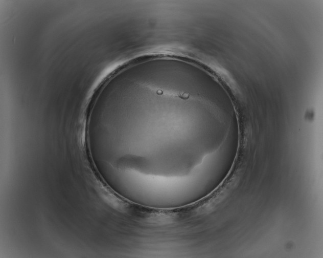 X0000102021224200807251324