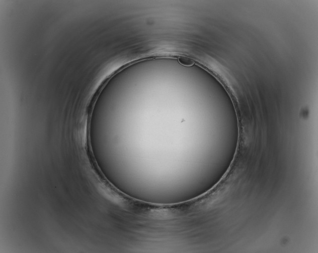X0000102021227200807251324