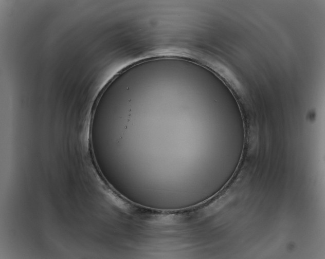 X0000102021228200807251324
