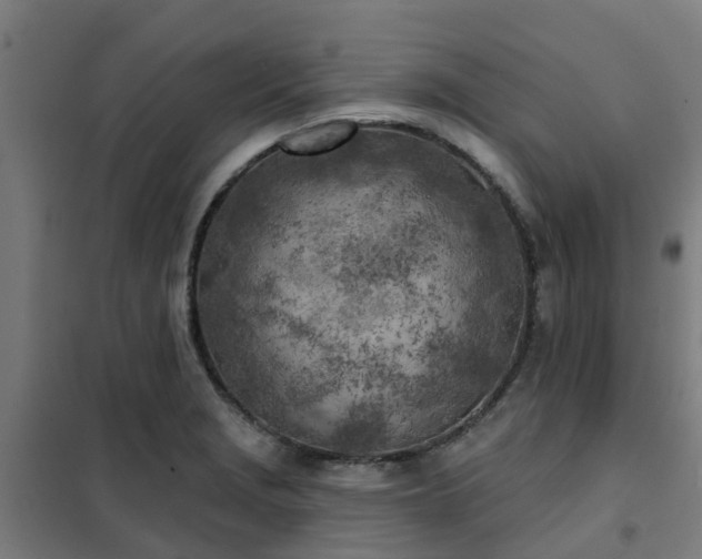 X0000102021229200807251324