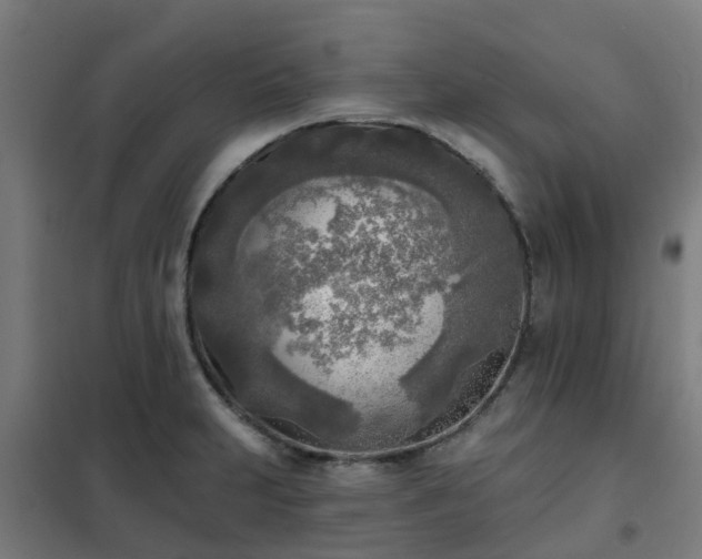 X0000102021231200807251324