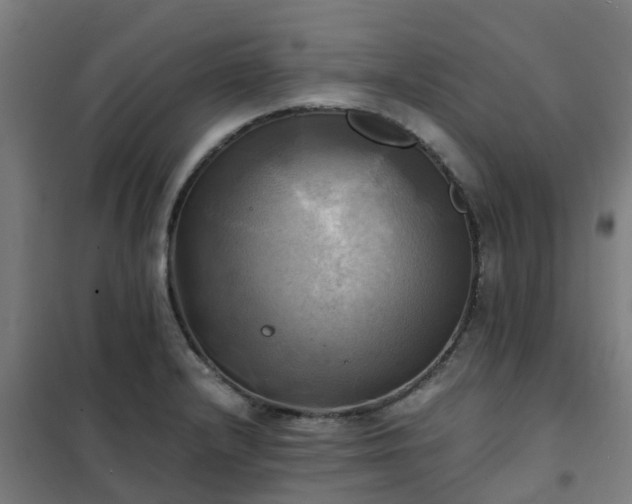 X0000102021232200807251324