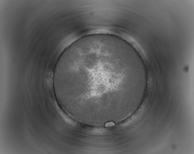 X0000102021233200807251324