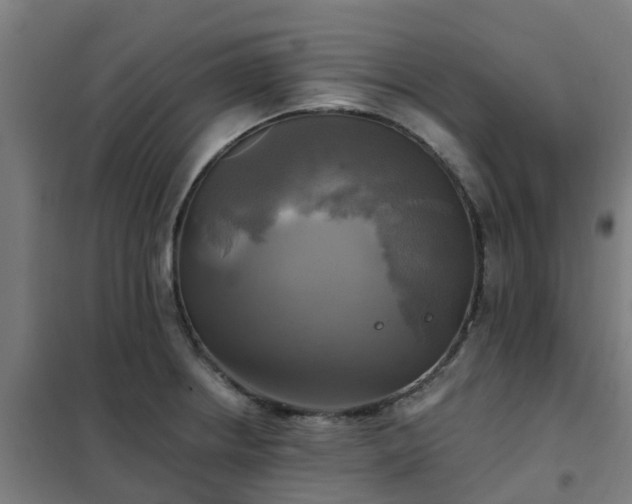X0000102021234200807251324