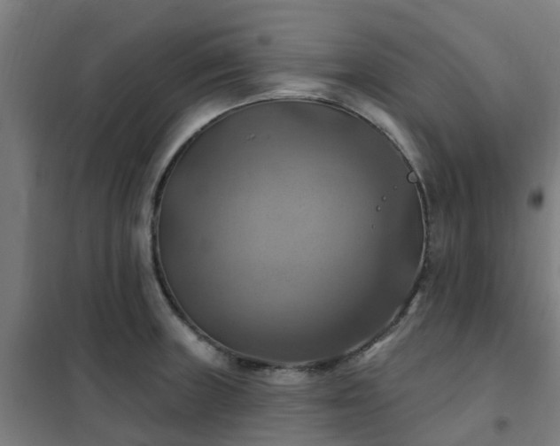 X0000102021235200807251324