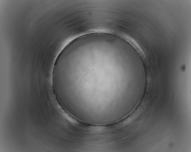 X0000102021236200807251324