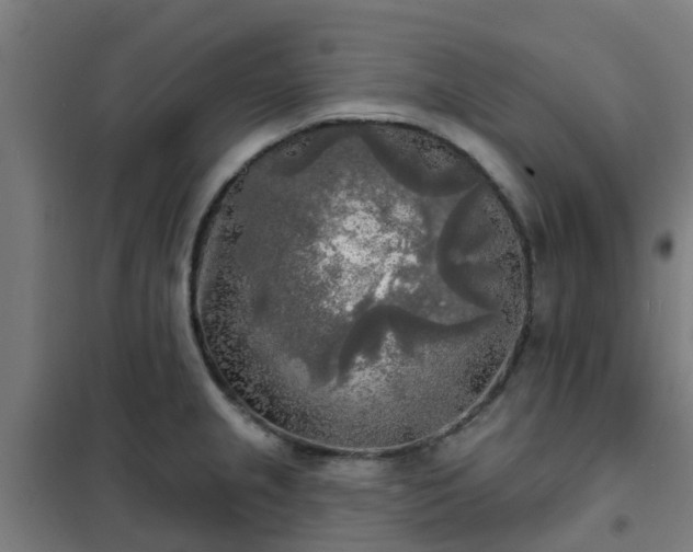 X0000102021237200807251324
