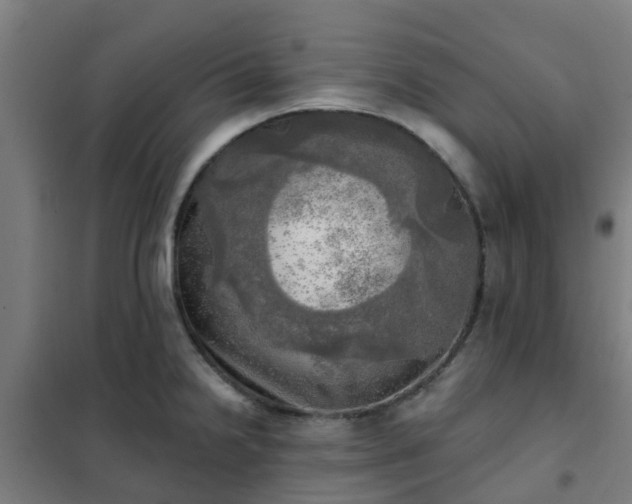 X0000102021238200807251324