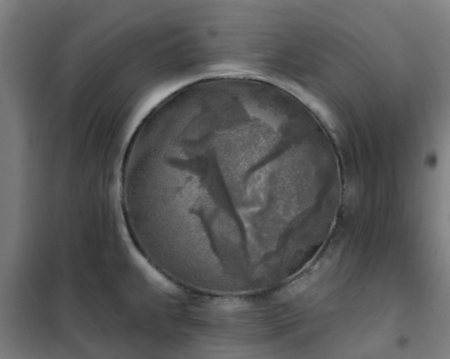 X0000102021239200807251324