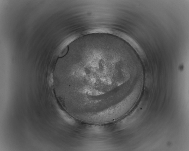 X0000102021241200807251324