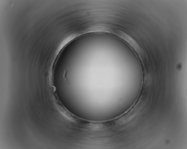 X0000102021242200807251324