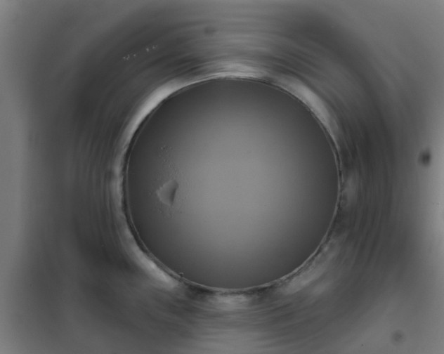 X0000102021243200807251324