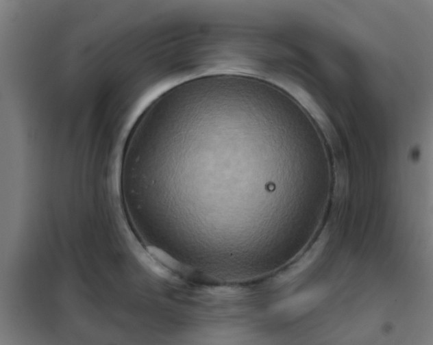 X0000102021246200807251324