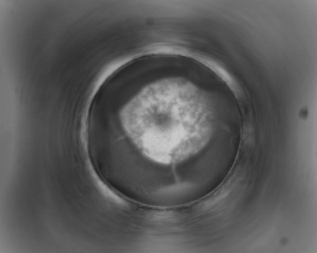 X0000102021247200807251324