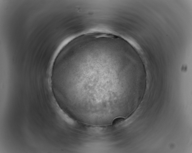 X0000102021248200807251324