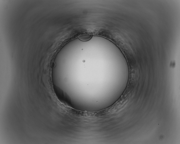 X0000102021249200807251324