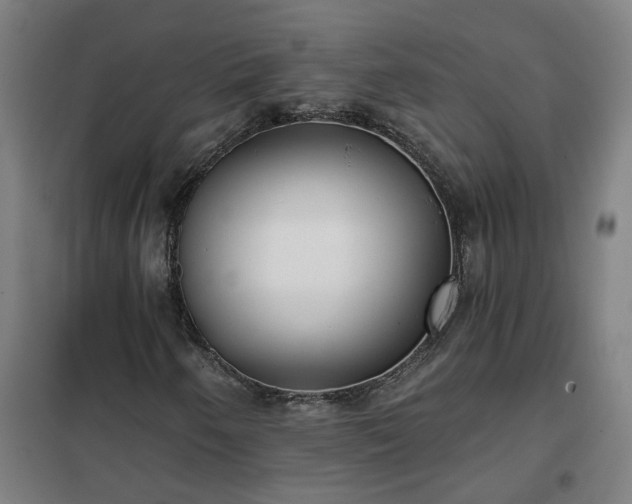 X0000102021250200807251324