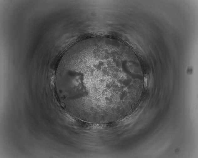 X0000102021251200807251324