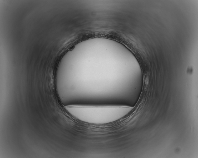 X0000102021252200807251324
