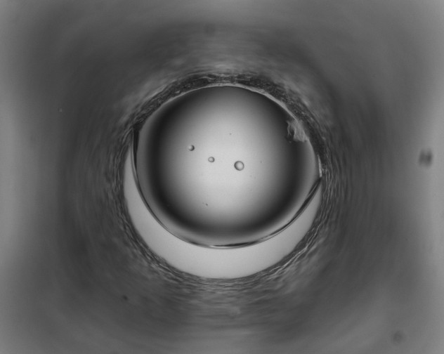 X0000102021253200807251324