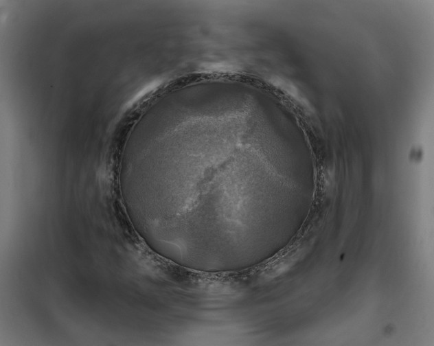 X0000102021254200807251324