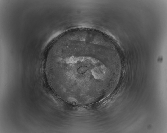 X0000102021255200807251324