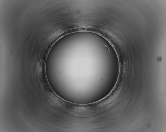 X0000102021257200807251324