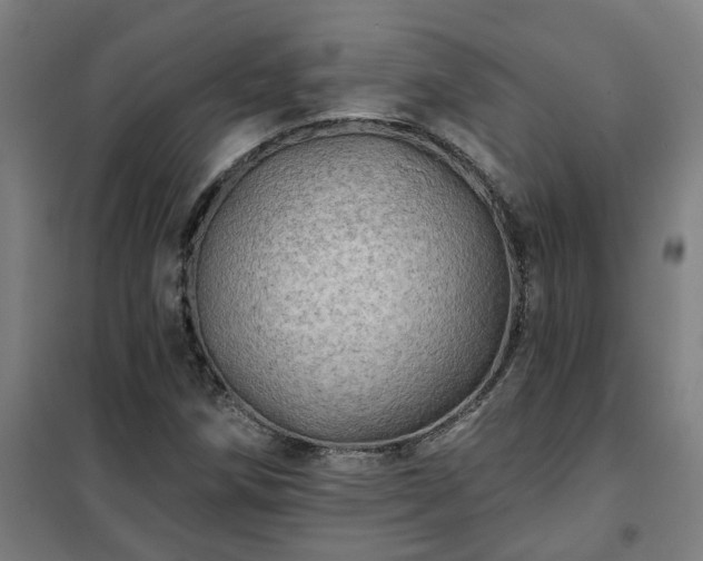 X0000102021258200807251324