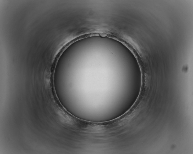 X0000102021260200807251324