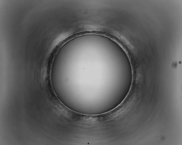 X0000102021261200807251323