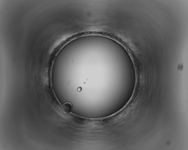 X0000102021262200807251323