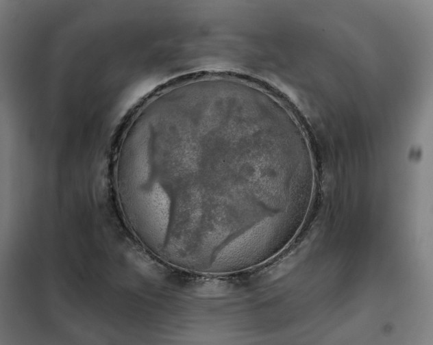 X0000102021263200807251323