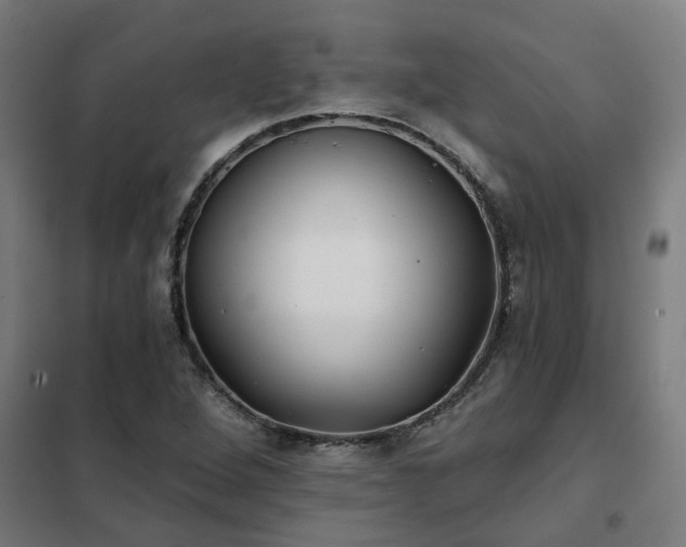 X0000102021264200807251323