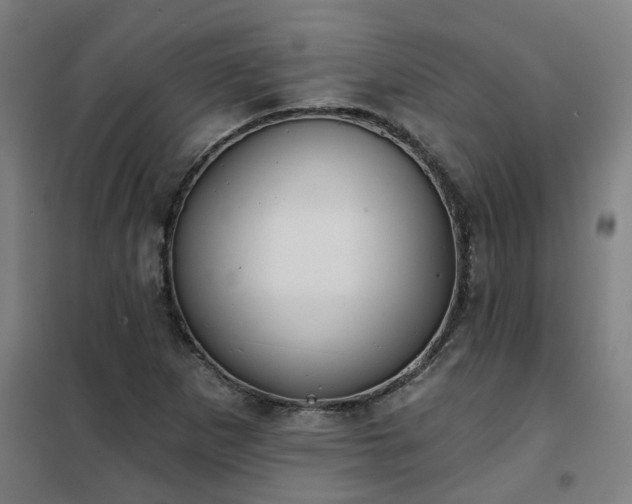 X0000102021265200807251323