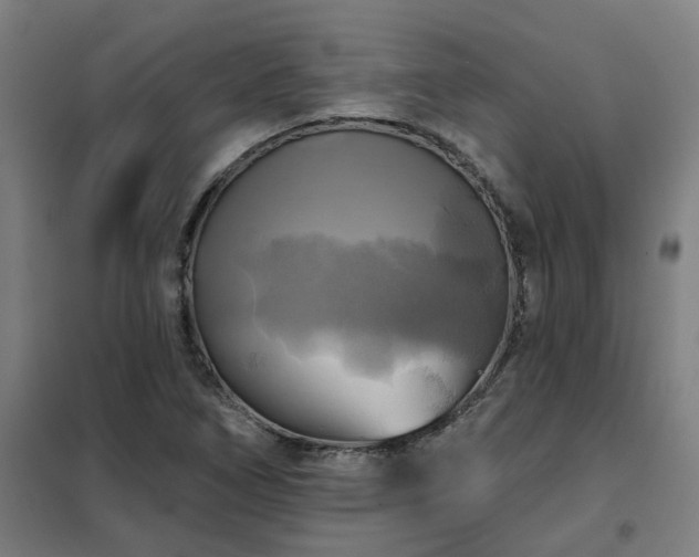 X0000102021266200807251323