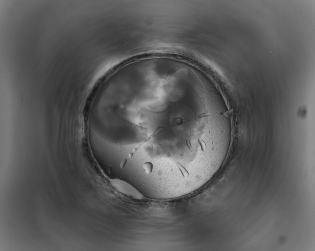 X0000102021267200807251323